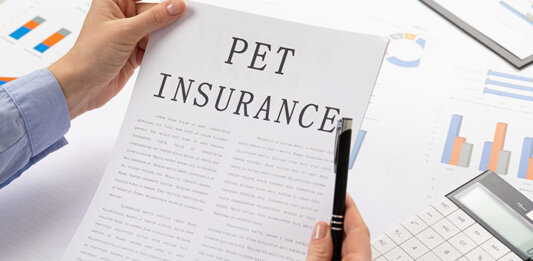 2021 pet insurance