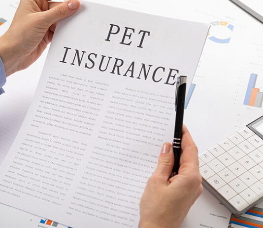 2021 pet insurance